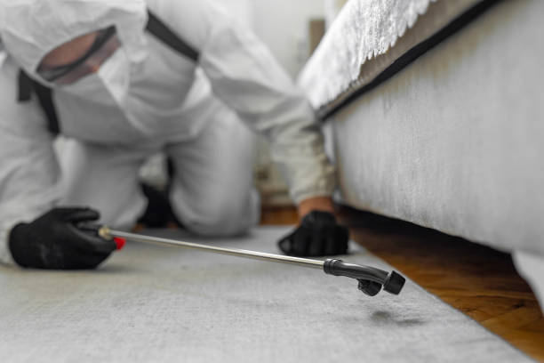Professional Bed Bug Control technician working in Corvallis, OR